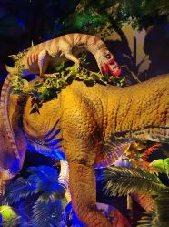 -恐龙探索乐园(磁器口店)