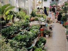 -双季花艺园艺市场(浦东店)