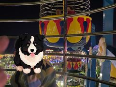 -中国马镇舞马世界主题乐园