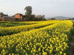 -七曲山风景区