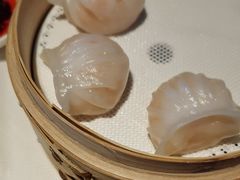 -金悦轩海鲜城(渔人码头店)