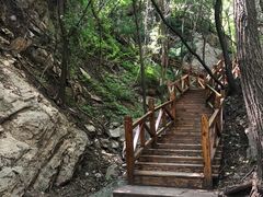 -大岭沟猕猴桃谷风景区