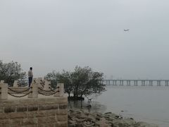 景点-宝安西湾红树林湿地公园