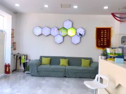 -莱可美科技美肤