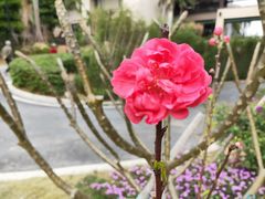 -清远熹乐谷温泉度假酒店