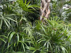 -北京植物园-展览温室