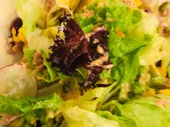 吞拿鱼沙拉-盘炉forenza·云贵川融合小食堂 ( 钟楼中柳巷店)