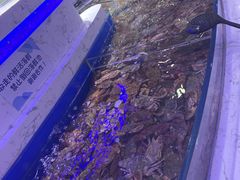 -澜悦港海鲜体验主题餐厅