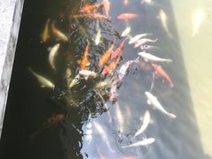 -华南国家植物园-售票处