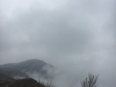 -阳台山自然风景区