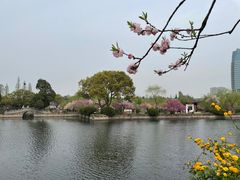 -无锡蠡湖国家湿地公园-蠡园