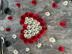 -Hi City·城市之巅