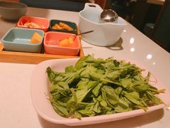 豌豆尖-小街猪手(团结湖店)