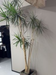 -宫铭烫发染发接发店