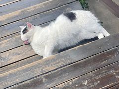 -嵊州特色小吃(萧山街店)