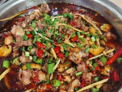 -食神又名厕所兔