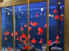 -老船坞水上餐厅(亚洲大酒店  东四十条店)