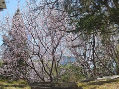 -团结湖公园
