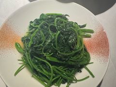 -凤凰湘语(浦东旗舰店)