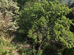 -昆嵛山石门里景区