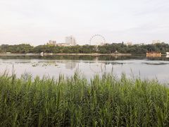 -南宁南湖公园