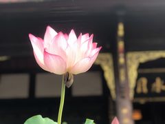 -古大圣慈寺
