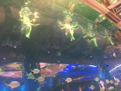 -瑞德姆美人鱼海底演艺主题餐厅(亚龙湾店)