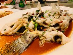 蒸桂花鱼-沙龙酒家