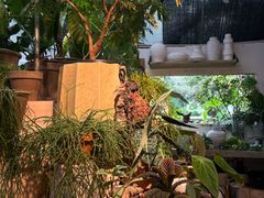 -自由生长植物工作室(深港花卉中心店)