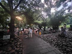 -成都市活水公园