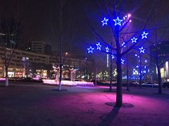 -肆月河豚·新淮扬(金融街店)