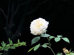 -苏州河梦清园环保主题公园