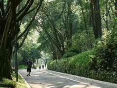 -云溪植物园
