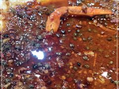 -三妹小龙虾·黄油蟹(华侨城总店)
