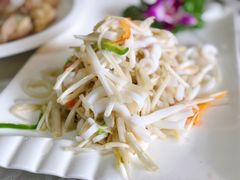 -丁老爷子苏香圆
