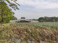 -东湖落雁景区