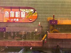 -鱼你相聚·河鲜馆(袁家岭店)