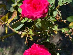 -昆山城市生态森林公园