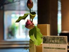 -青藤茶馆(凤起路店)