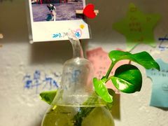 -大王油茶(二厂文创公园店)