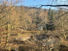 -庐山风景区花径公园