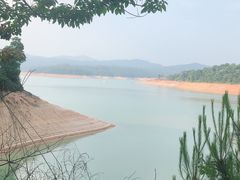 -广州市流溪河国家森林公园