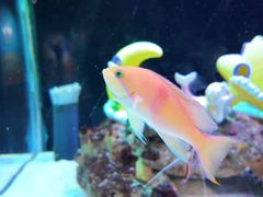 -海合安武汉极地海洋公园