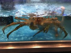 -盒马鲜生(宝地店)