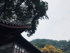 -韬光茶庵