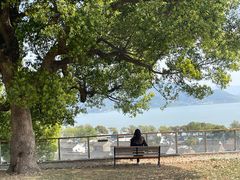 -东钱湖旅游度假区