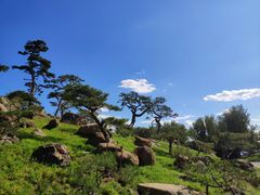 -罗红摄影艺术馆