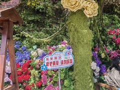 -秦岭天竺山生态文化旅游景区