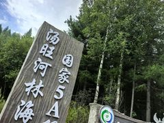 -汤旺河林海奇石景区