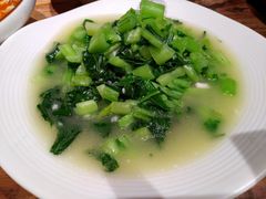 钵钵小苦菜-老滇山寨•云南特色菜•地方菜•民族风情歌舞表演(金碧店)